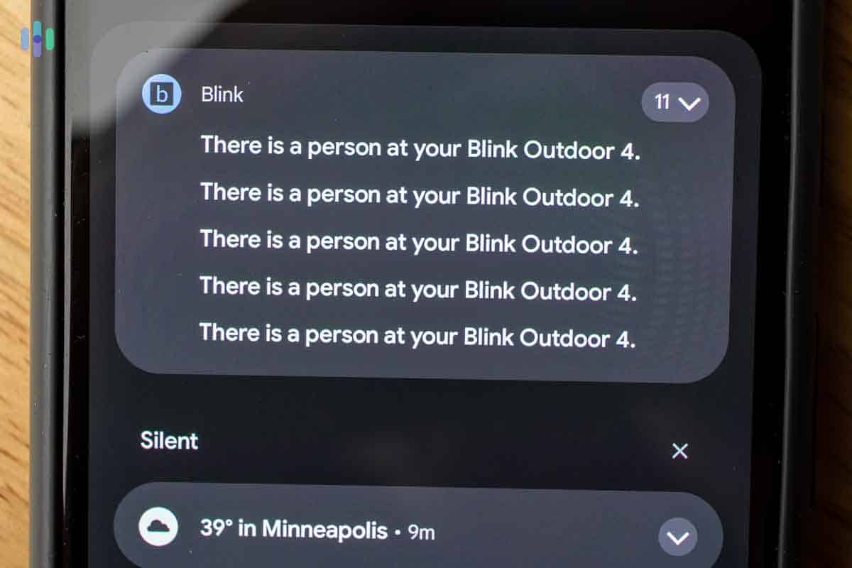 Blink app's mobile notifications