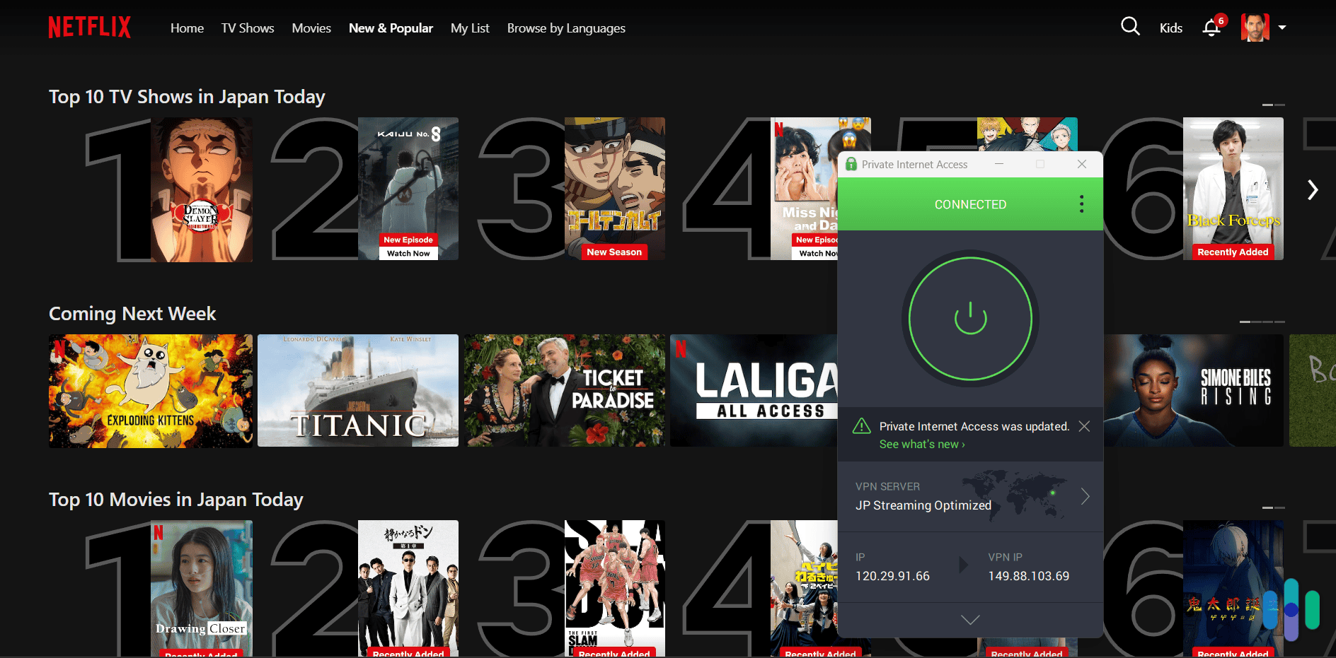 PIA VPN accessing Netflix Japan